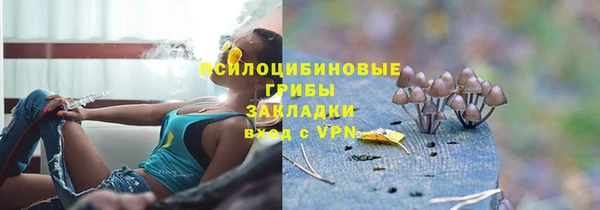 ALPHA-PVP Алексин