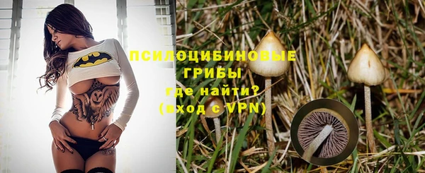 мяу мяу мука Алексеевка