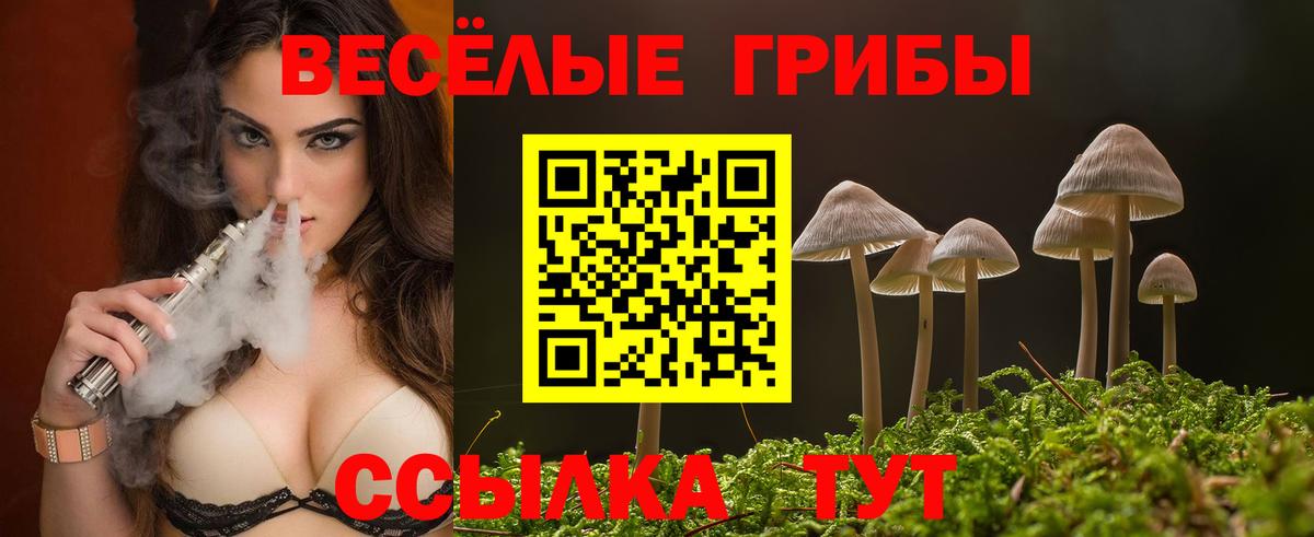 Псилоцибиновые грибы Psilocybe  Галлюциногенные грибы мухоморы  Лобня  Вход с VPN 
